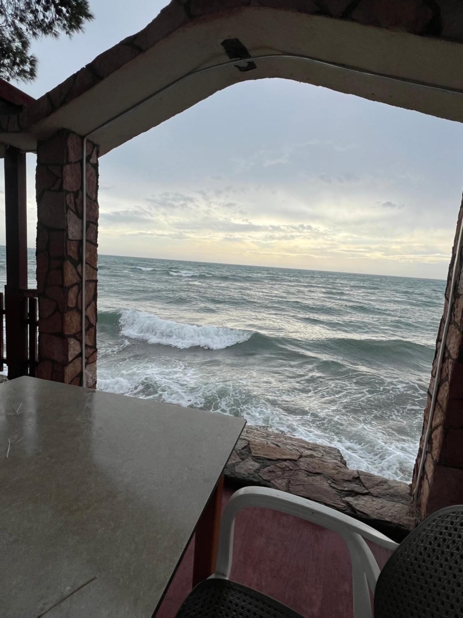 Seaside Shengjin Sakes
